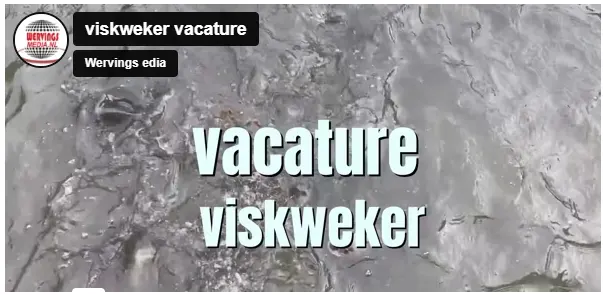 viskweker vacature